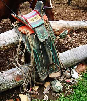 モンゴル人に使っている鞍と鐙。鐙の足をかける部分と鞍の前後の盛り上がりに注目