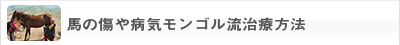 馬の傷や病気モンゴル流治療方法