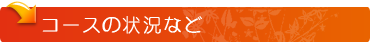 ノ-サイド エンデュランス体験記 コースの状況など