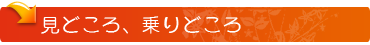 見どころ、乗りどころ