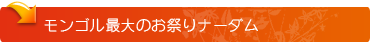 モンゴル最大のお祭りナーダム