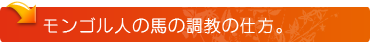 モンゴル人の馬の調教の仕方