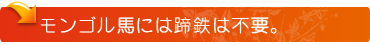 モンゴル馬には蹄鉄は不要