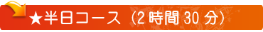 半日コース(2時間30分)