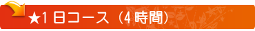 1日コース(4時間)